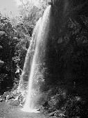 Waterfall  II